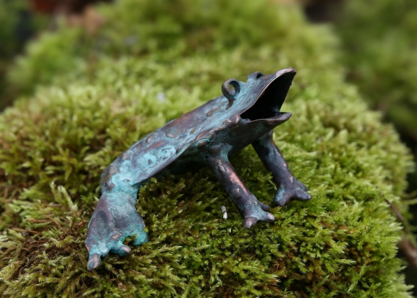 Toad by Natalie Brown