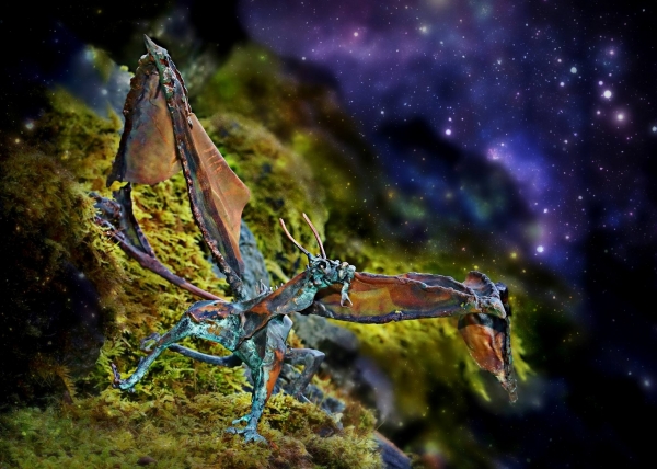 Click here to view 'Charging Thunder'  by Natalie Brown