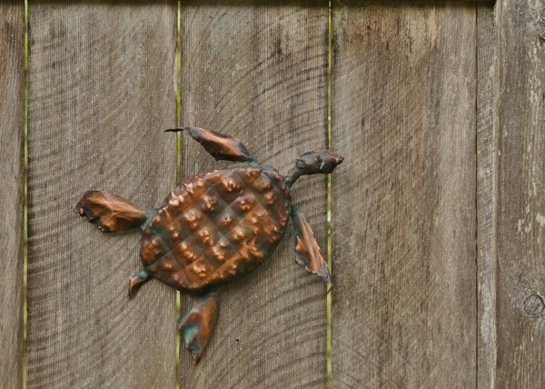 Turtle - Small by Natalie Brown