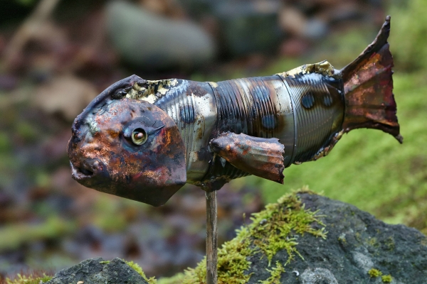 Click here to view Fish by Natalie Brown